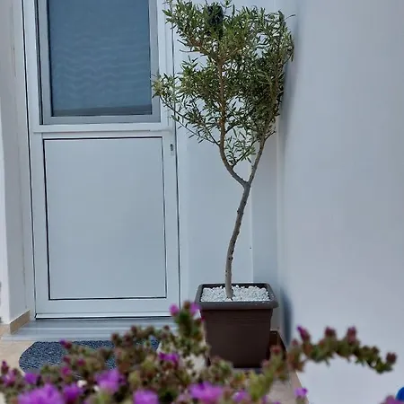 Apartamento Square *
